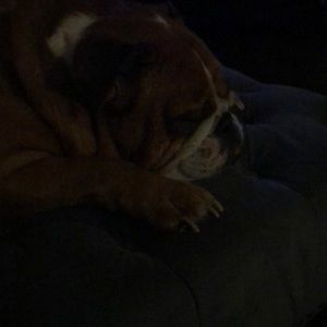 Meet your Posher, Meagan